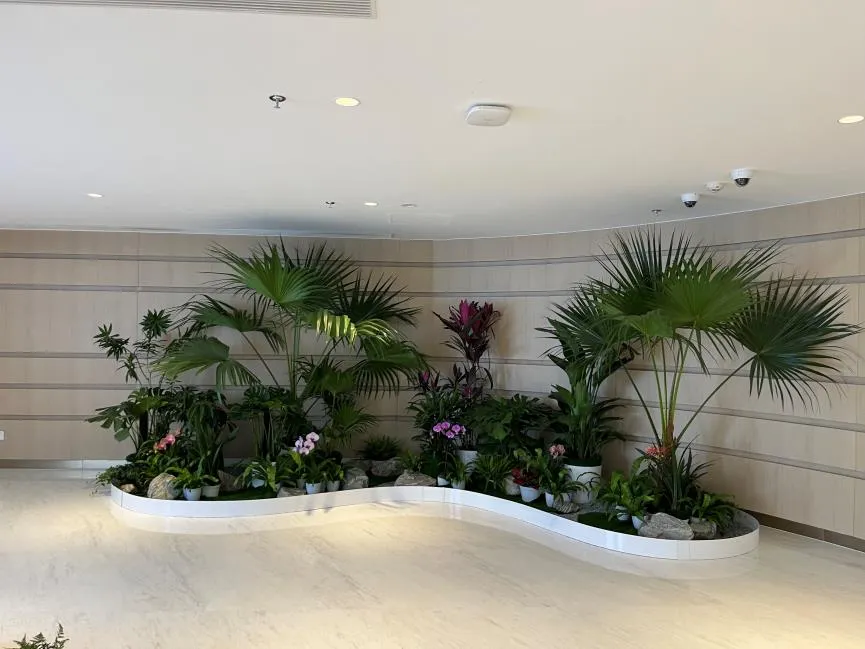 宁波北仑花卉租摆哪家好